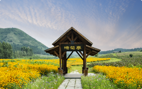 花海环绕的园区观花亭,远处山色青翠